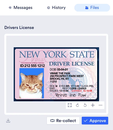 File_reviewing_2.png