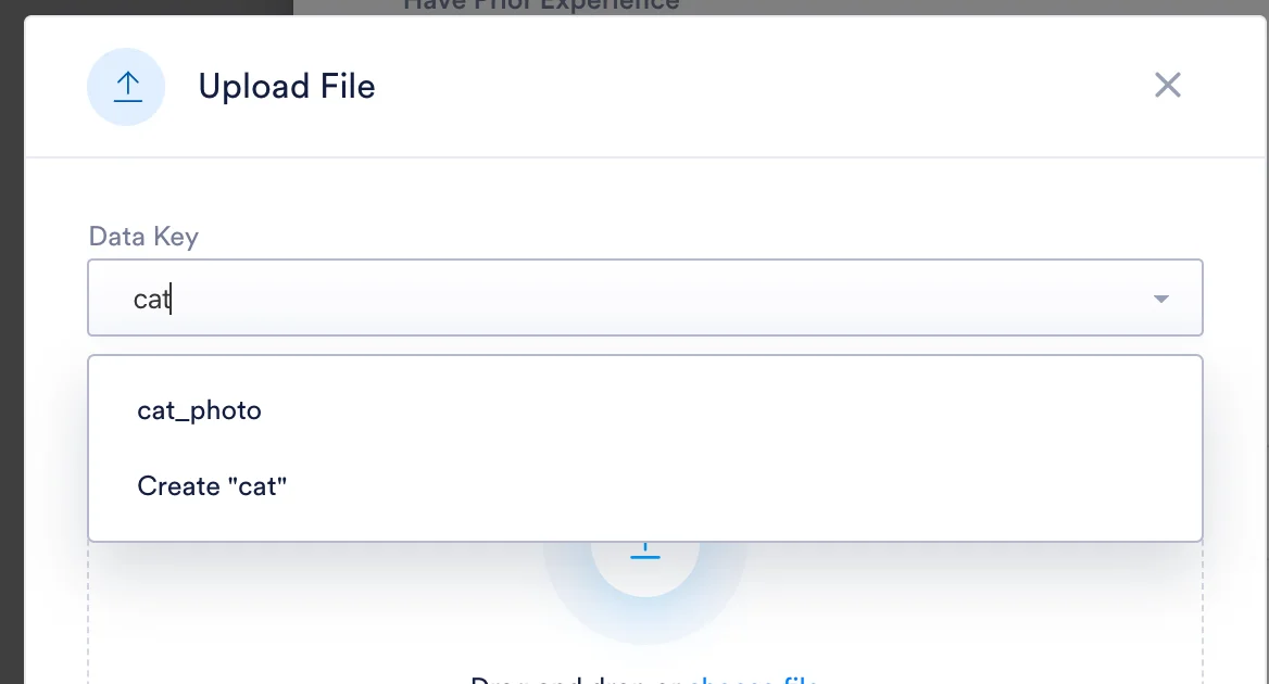 File_reviewing_11.png